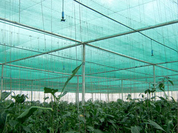 Hdpe αντι UV δίκτυο σκιάς γεωργίας ήλιων για το θερμοκήπιο για να προστατεύσει τις εγκαταστάσεις